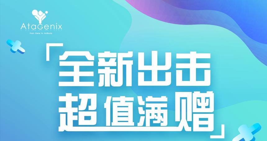 年底重磅 ▏下單即贈禮，滿額就加送~超多實用禮品等你來拿