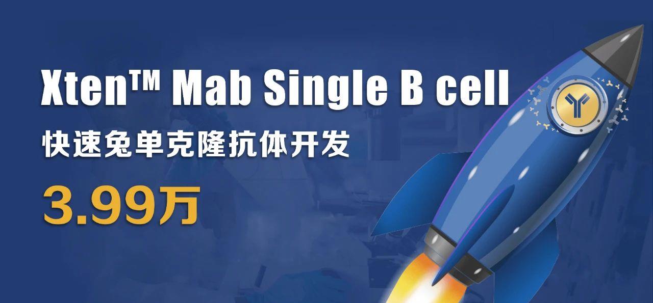 利用兔單B細(xì)胞技術(shù)制備高親和力、多種表位的抗獨(dú)特型單克隆抗體